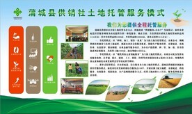 農(nóng)業(yè)托管服務(wù) 從概念到實(shí)踐的全方位視覺(jué)指南與資源寶庫(kù)